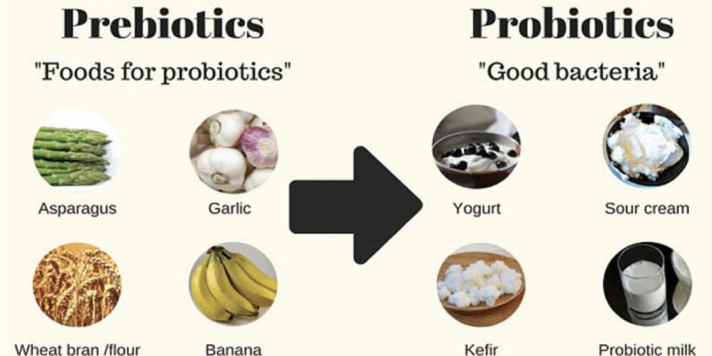probiotics-and-prebiotics-for-digestive-health